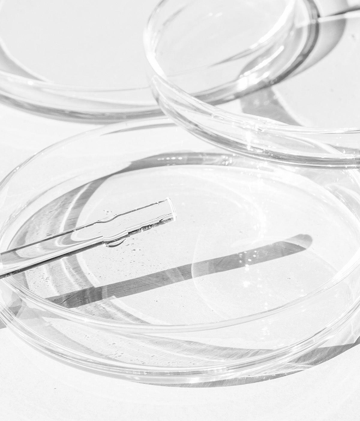 NUANCE – Christina Cosmeceuticals Corporate